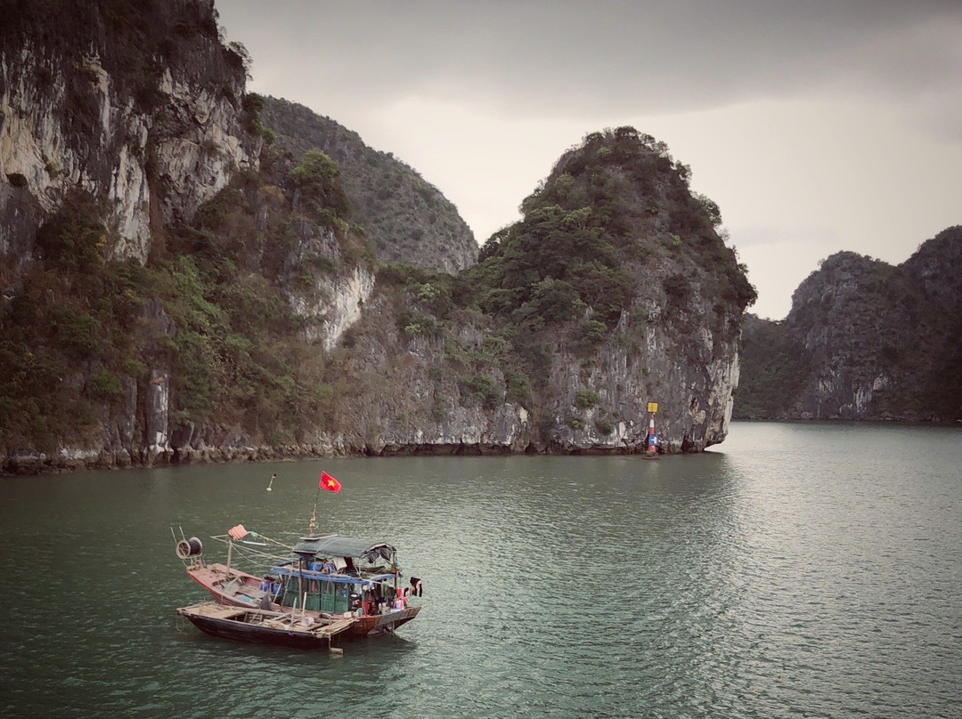 Asia Tour Advisor-Ben Tre必去景点