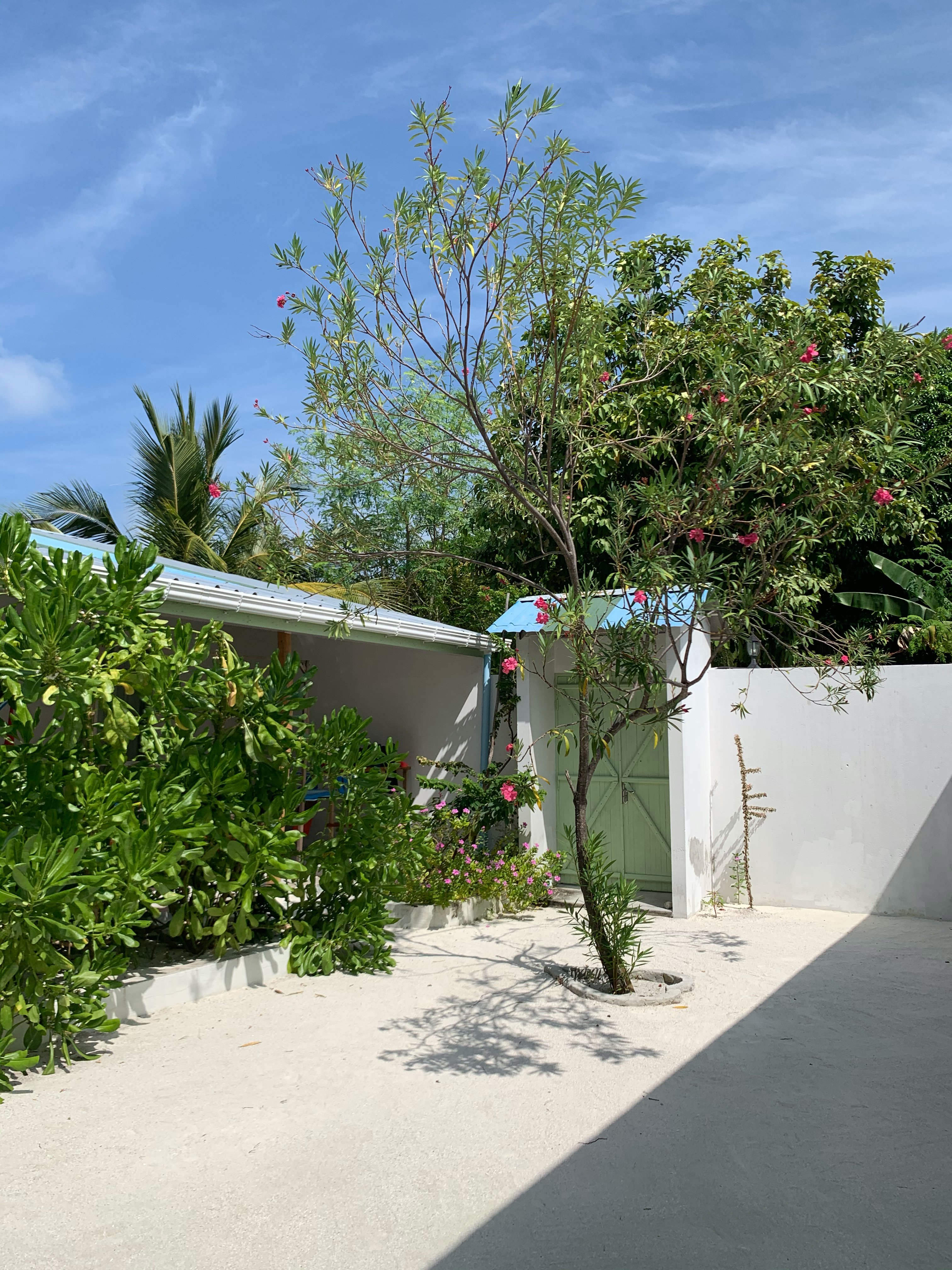 Shifa Lodge-浴室