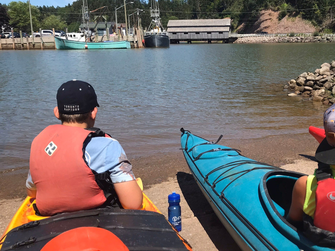 Bay Of Fundy Adventures-St. Martins必去景点