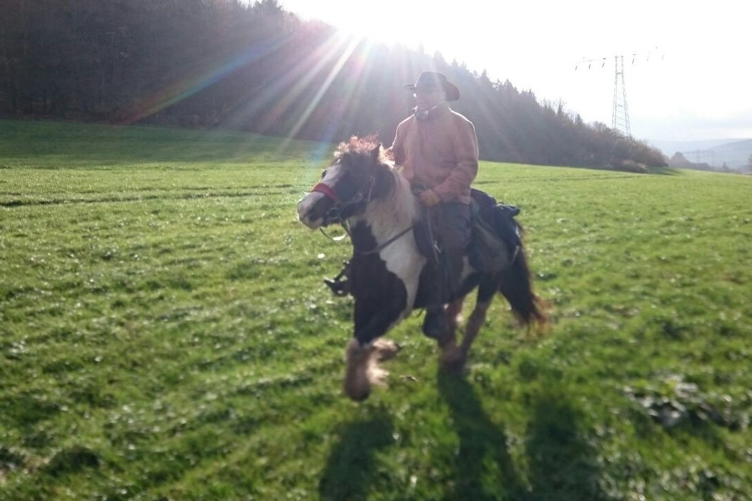 Stockborn Ranch - Westernreiten in der Rhon景点图片