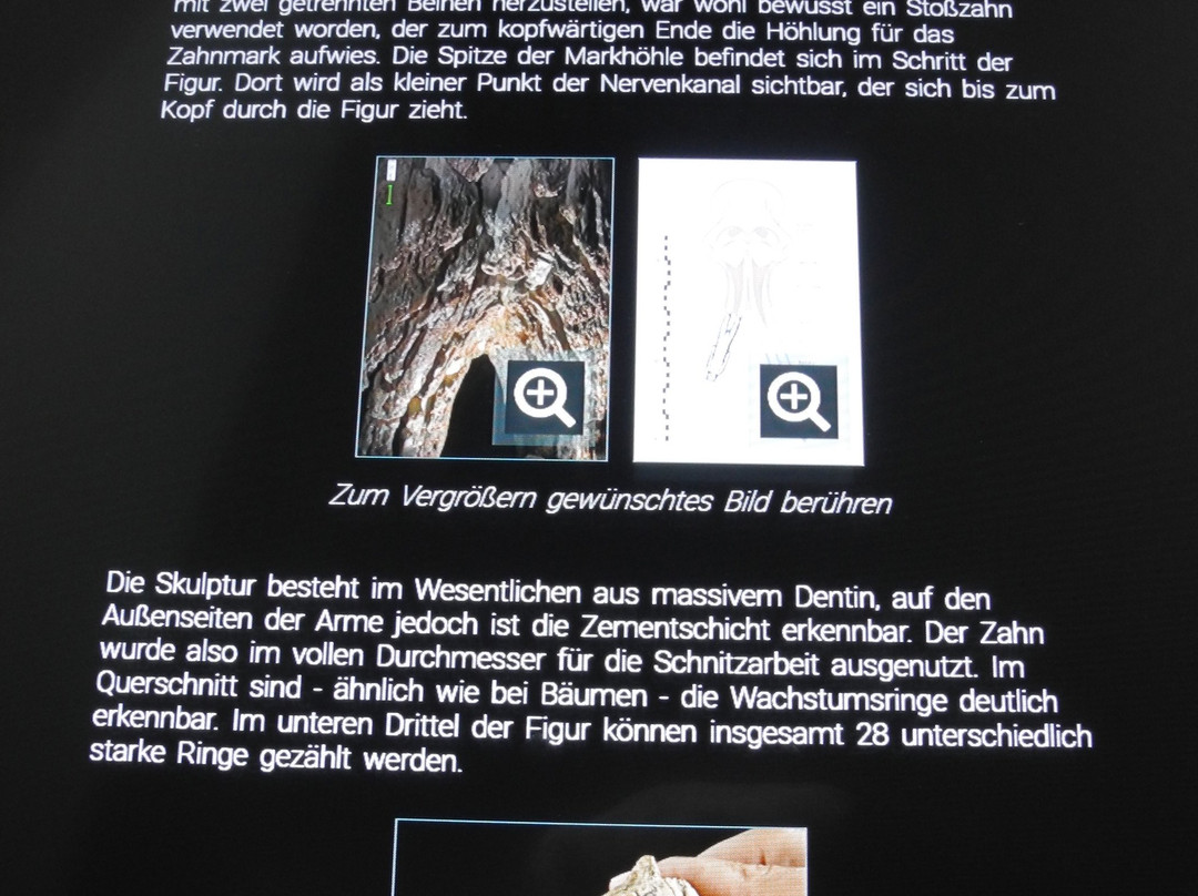 Museum Ulm-乌尔姆必去景点