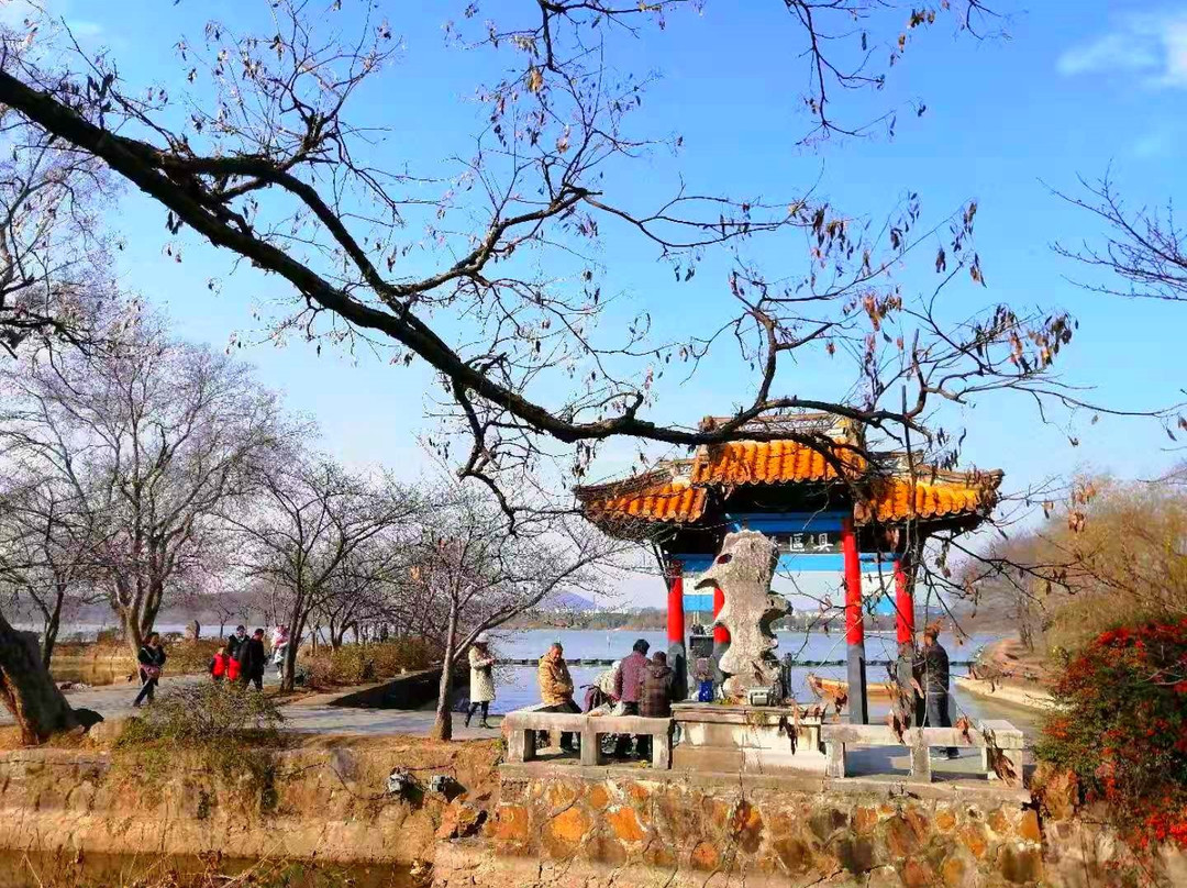 龙头渚公园-无锡市必去景点