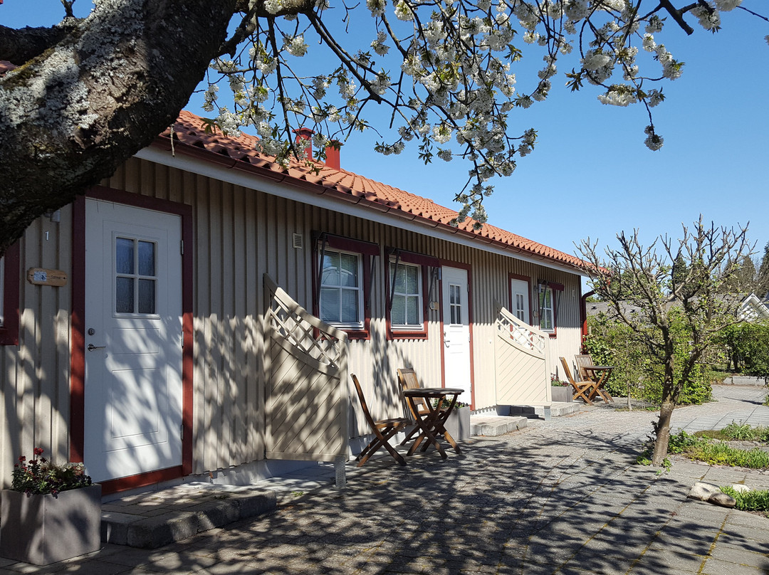 B&B Villa Orion主图