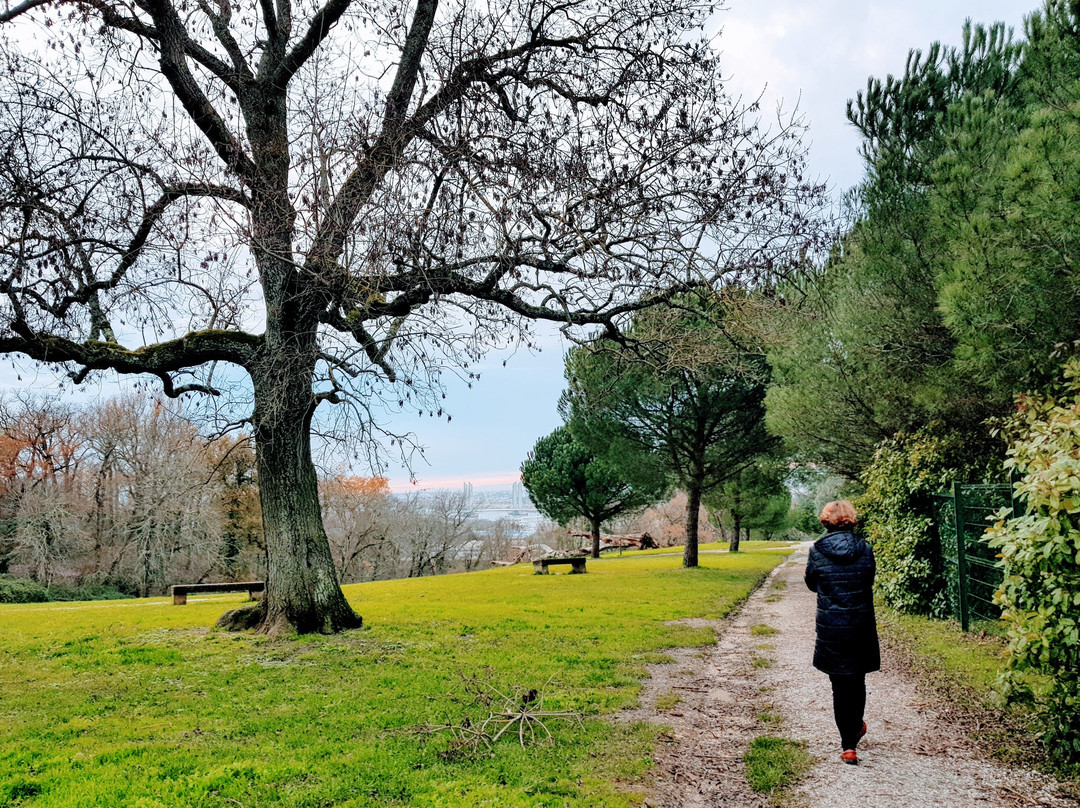 Parc Palmer景点图片