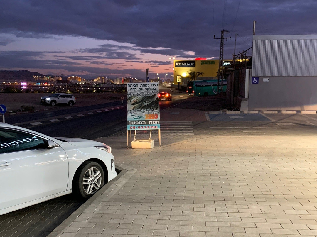 Big-埃拉特必去景点