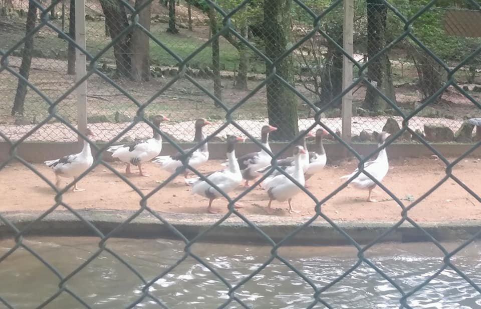 Ecological Park Dr. Paulino Recch-Amparo必去景点