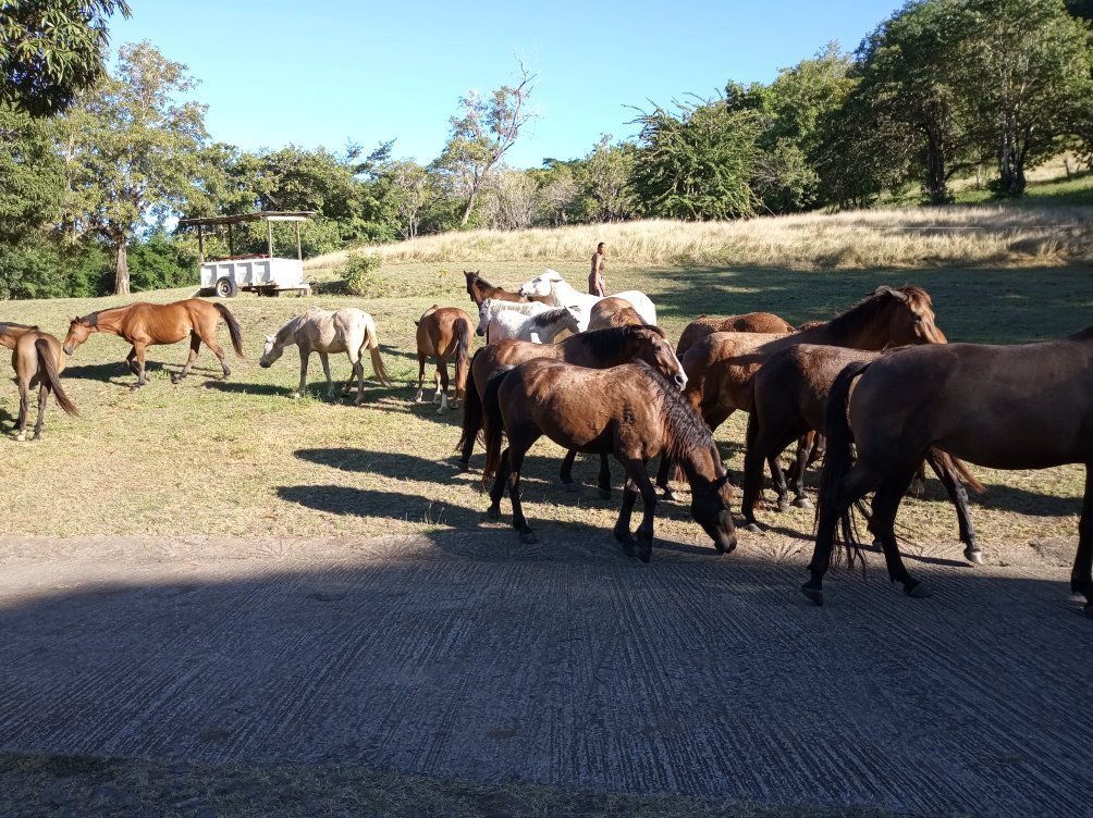 Ranch Jack-Trois-Ilets必去景点