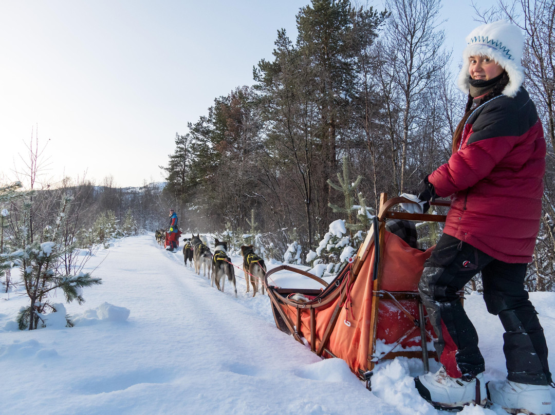 HORISONT HUSKY - Dogsled adventures and expeditions in the Arctic-阿尔塔必去景点