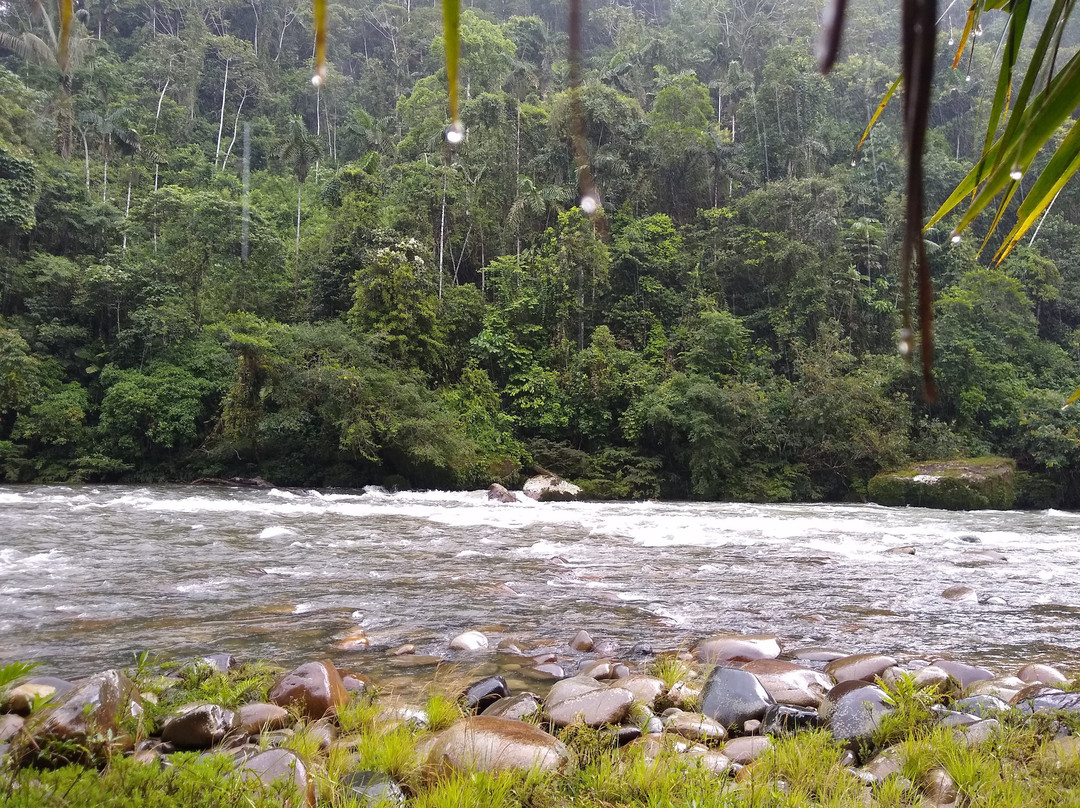 Playa Selva Lodge主图