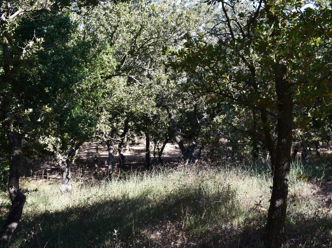Minoiko Nekrotafeio Armenon-Armeni必去景点