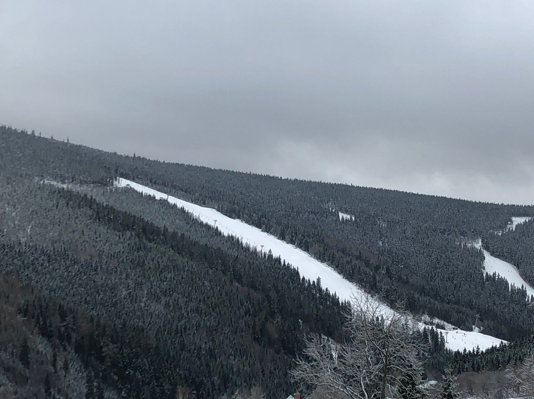 Pension Slunecnice主图