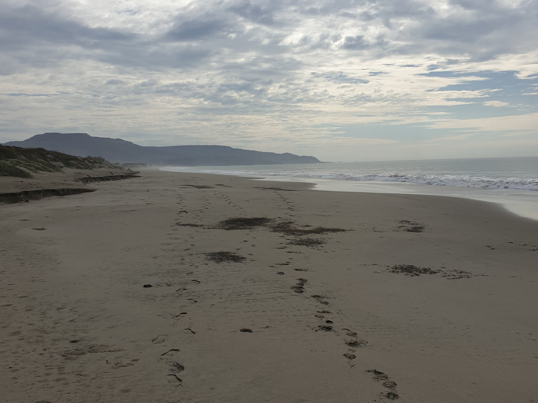 Surf Racer Board House Peru-Organos必去景点