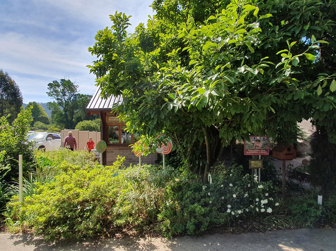 Marysville Lolly Shop-Marysville必去景点