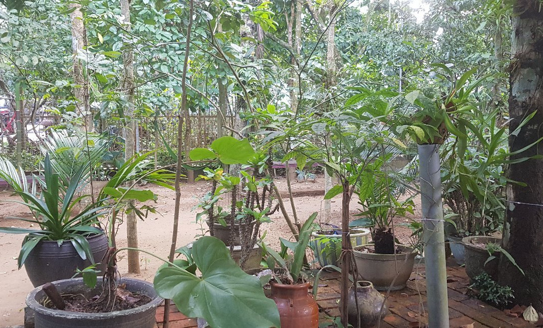 Nha Vuon Xuan Dai-顺化必去景点