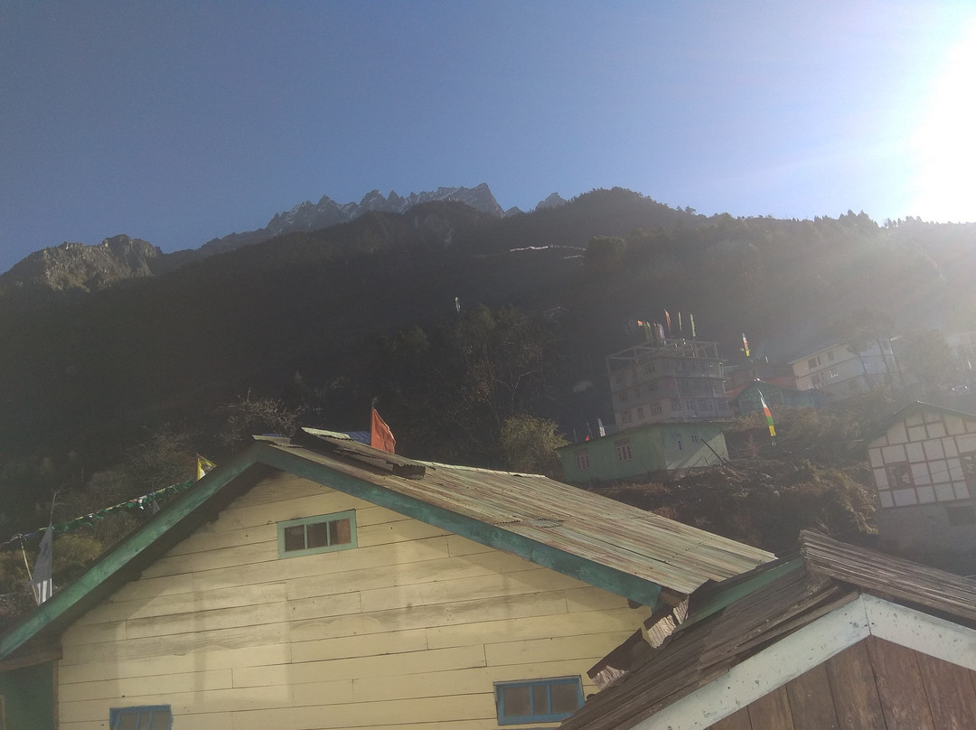 Magellan's The Golden Bridge主图