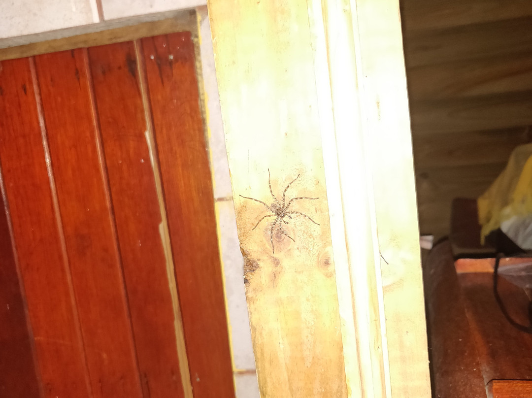 Hotel Los Mangos主图