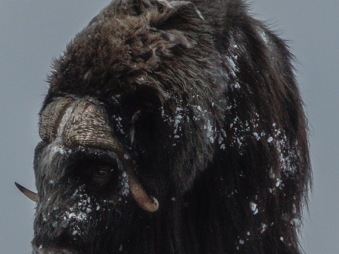 Oestlandet Guide & Fritid-Loten必去景点