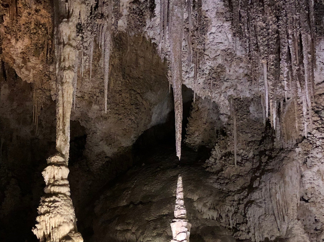 Giant Dome-卡尔斯巴德洞穴国家公园必去景点