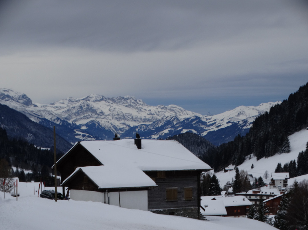 Hotel Le Relais Alpin主图