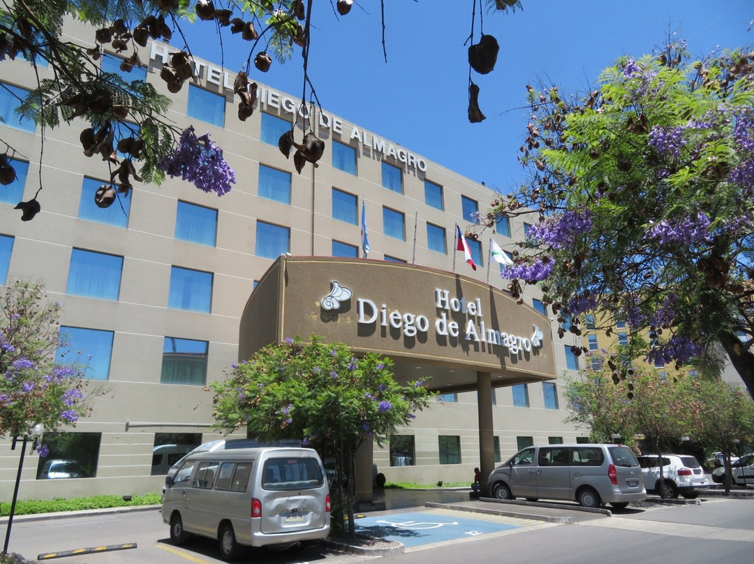 迪亚戈阿马格阿罗普多酒店主图