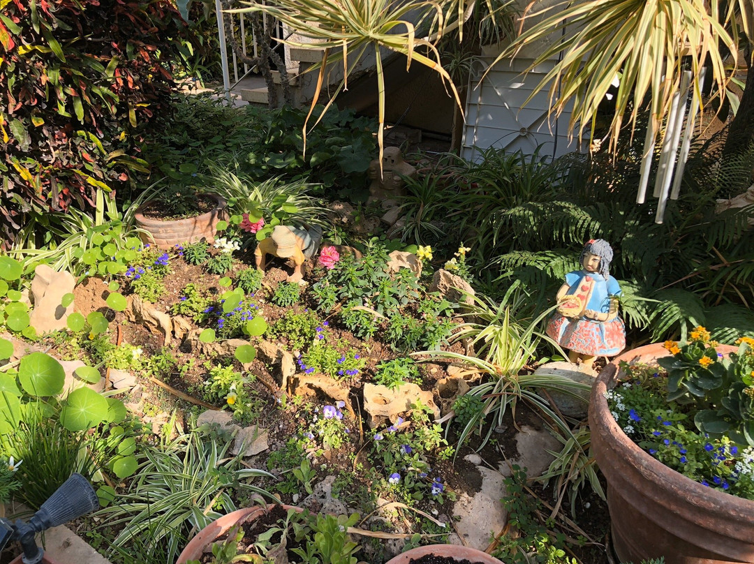 TASTE  of EIN-GEDI-恩戈地必去景点