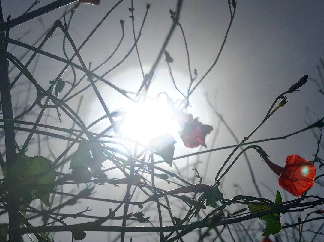 Lake May Reserve-Eustis必去景点