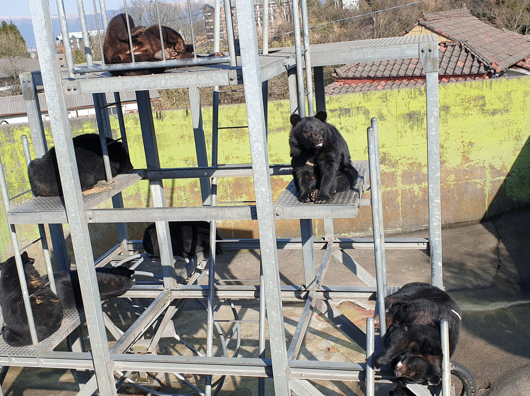 Cuddly Dominion-阿苏市必去景点