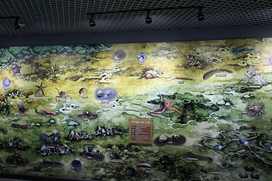 Shinan Getbol Center Cittaslow Center-新安郡必去景点