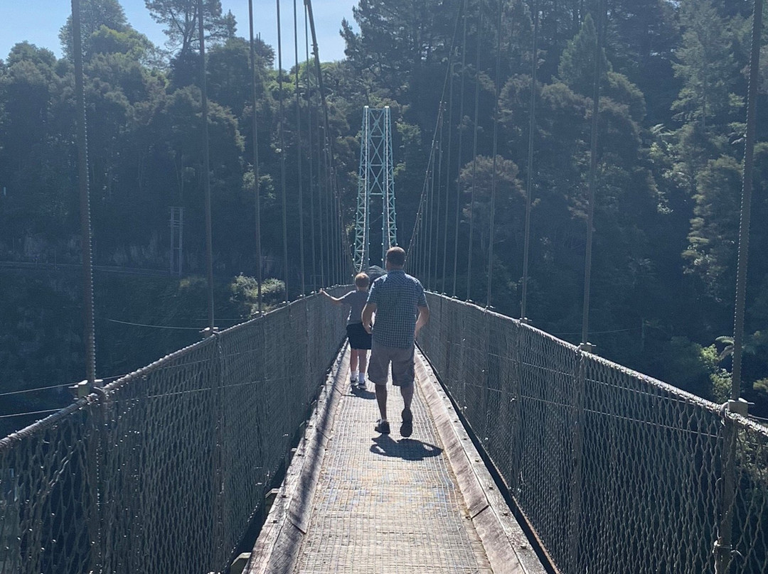 Arapuni Swing Bridge景点图片