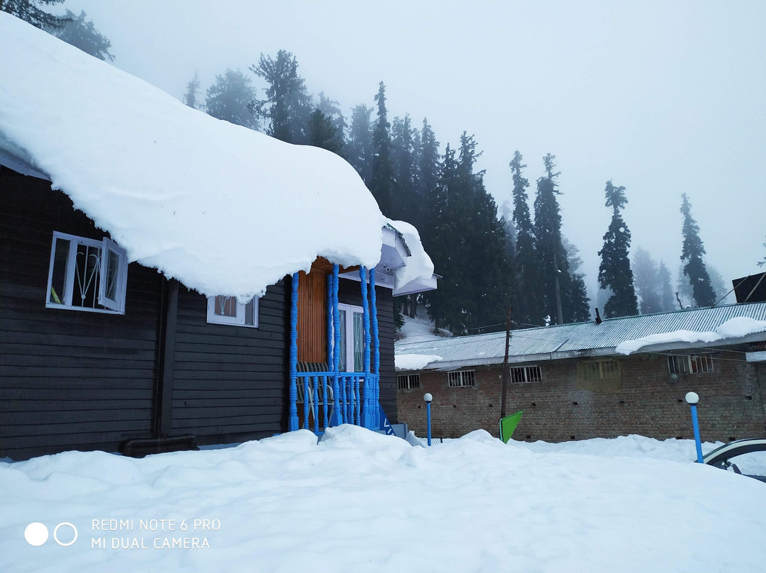 Pine View Resort主图