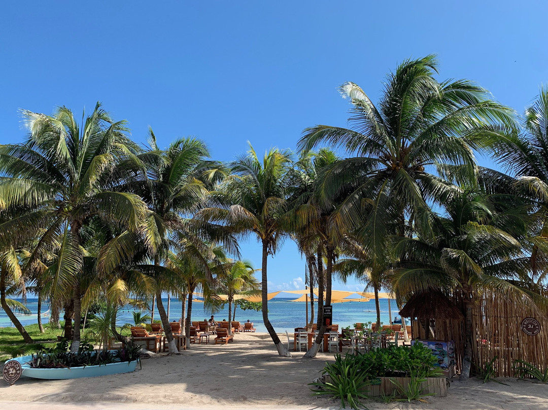 Mahahual餐馆和美食-Malecon21 Beach Club & Restaurant