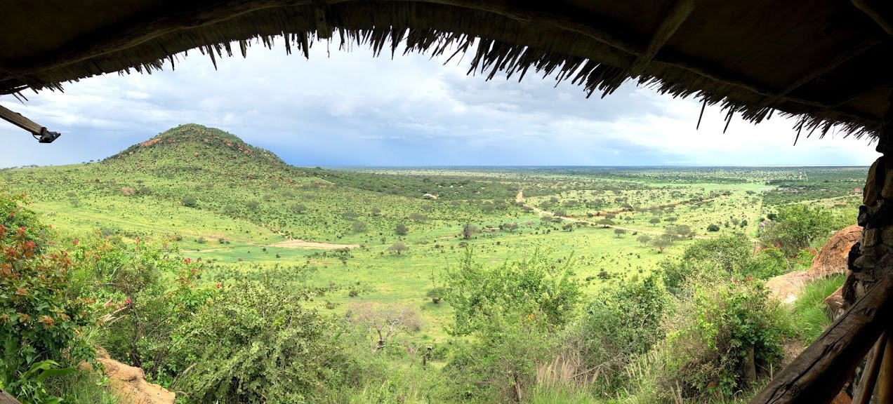 Lion Hill Safari Lodge-酒店景观