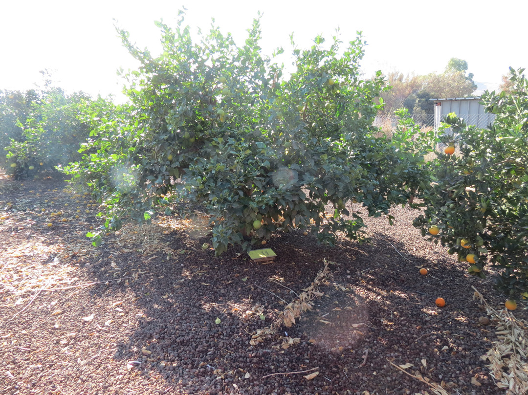 Arbel Guest House Shavit Family主图