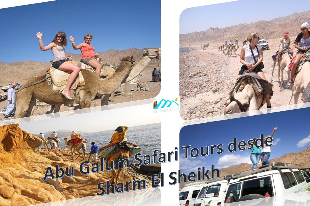 Sharm El Sheikh Tours-沙姆沙伊赫必去景点