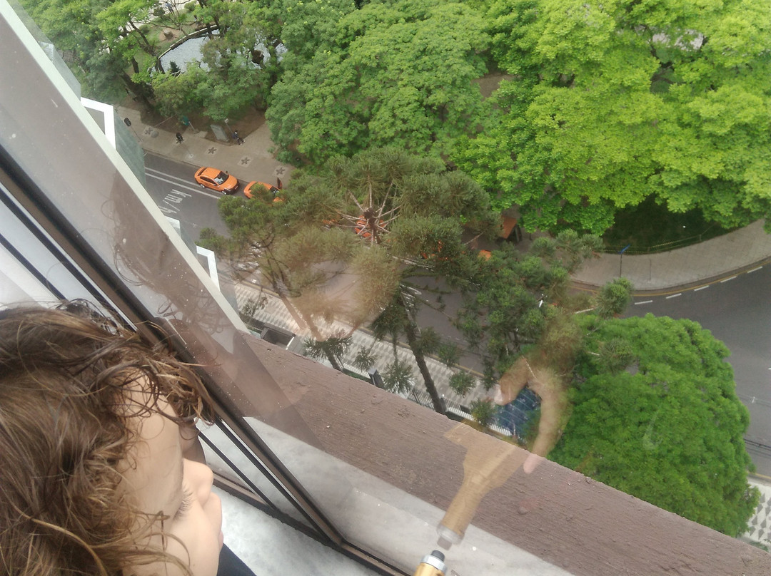 拉迪森库里蒂巴酒店主图