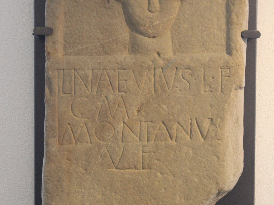 Museo Civico archeologico e di Scienze Naturali F. Eusebio-阿尔巴必去景点