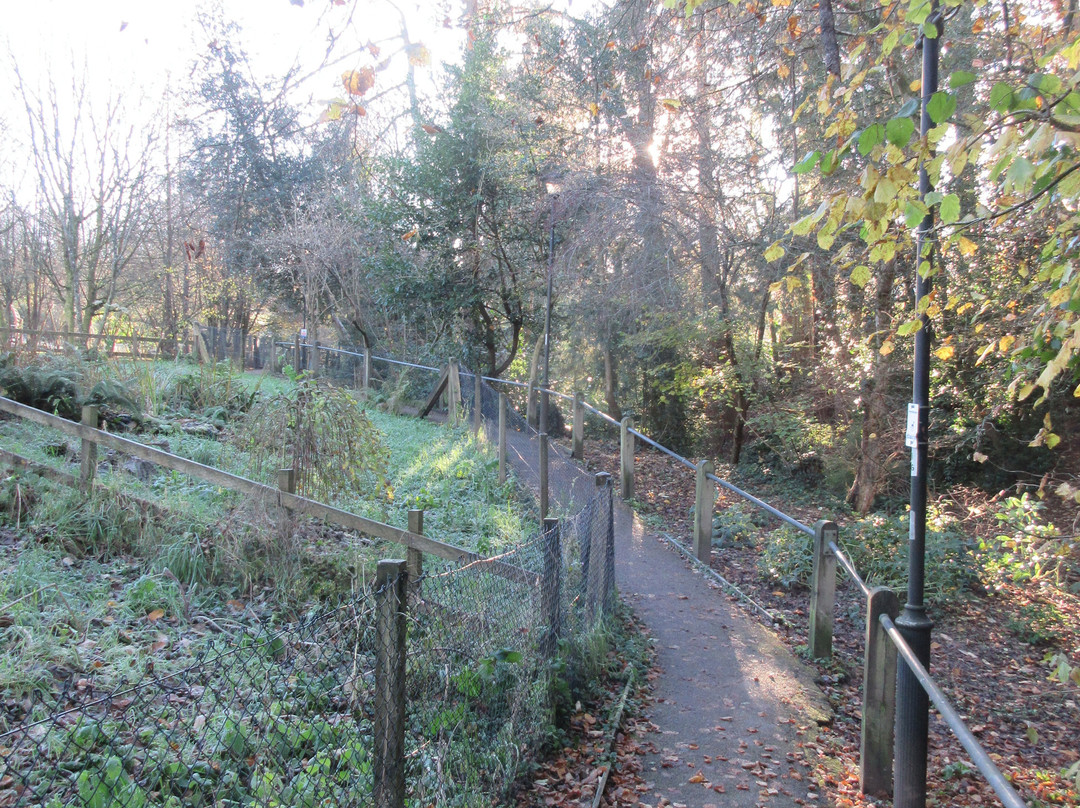 The Glen-Honiton必去景点