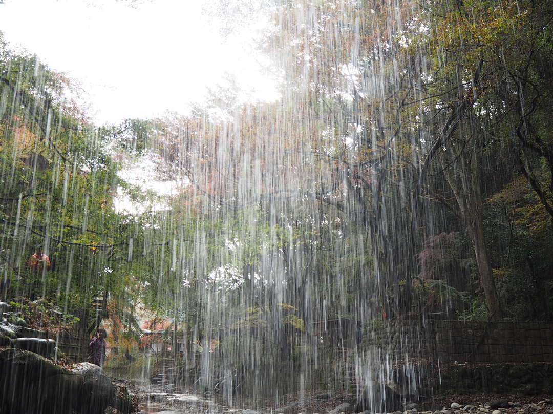 Tsukimachi Waterfall-大子町必去景点