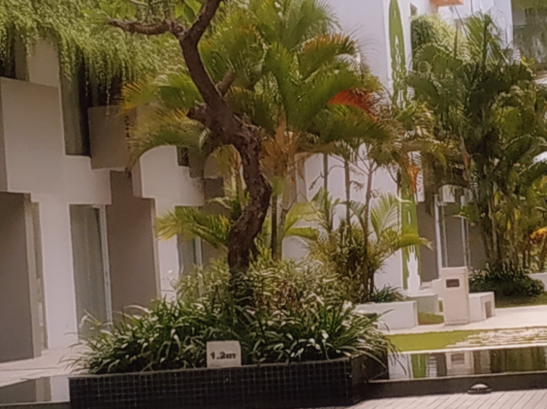 Tijili Hotel Benoa主图