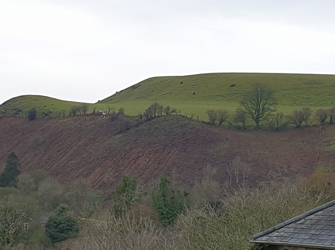 潘益典雅芙蓉玉女乡村酒店主图