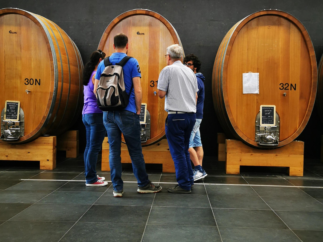 Langa Wine Tour-巴罗洛必去景点