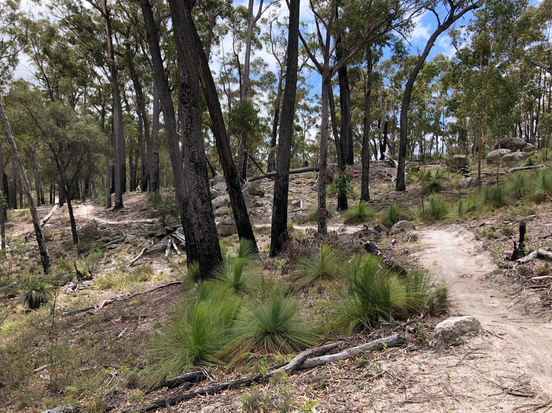 Vertigo MTB-Derby必去景点