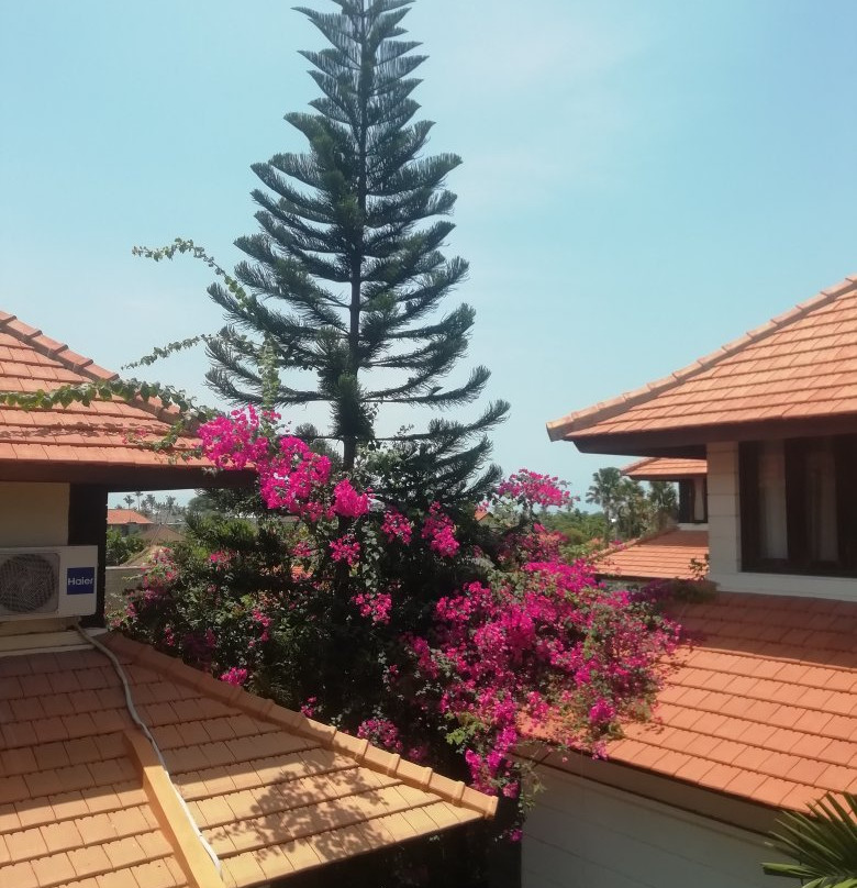 Kent Beach House主图