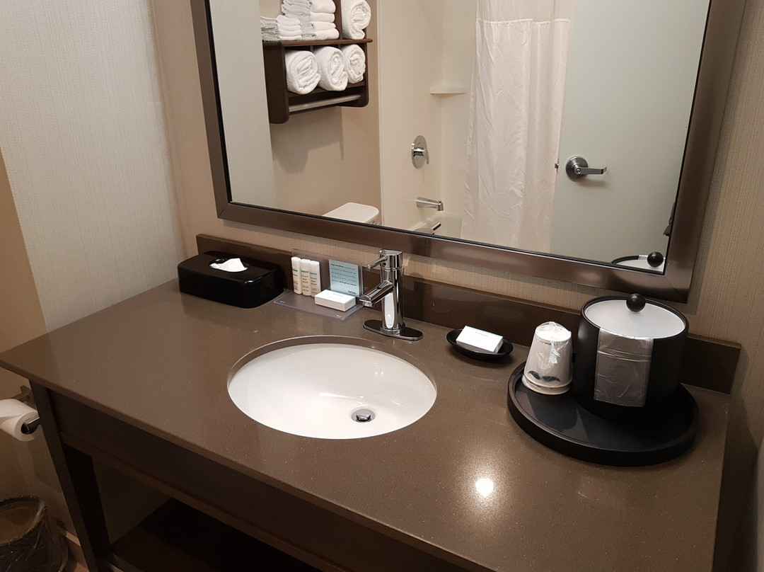 Hampton Inn by Hilton Ottawa Airport主图