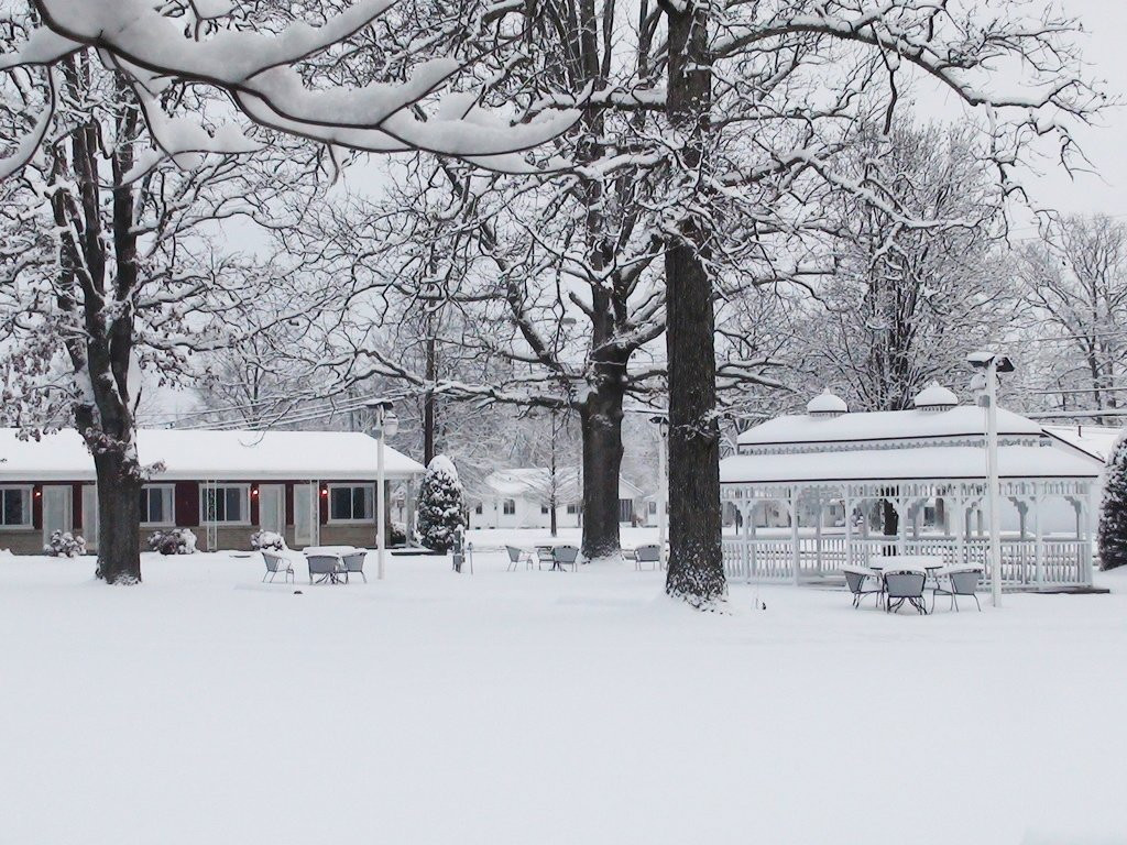 Murray Inn and Art Gallery主图