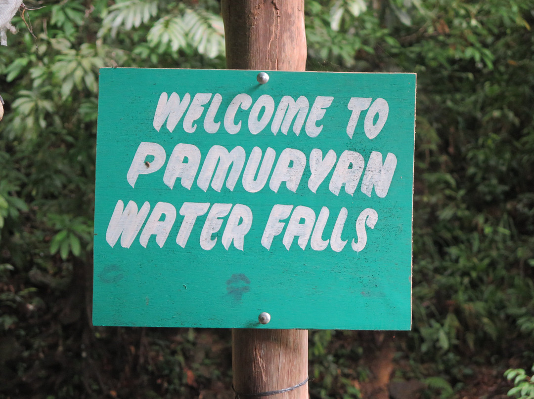 Pamuayan Waterfalls景点图片