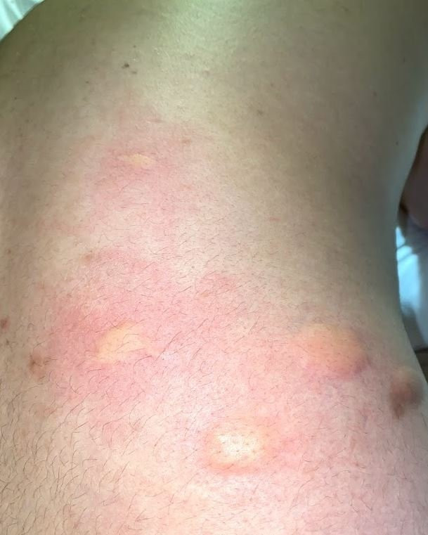 Quality Inn & Suites Moline – Quad Cities主图