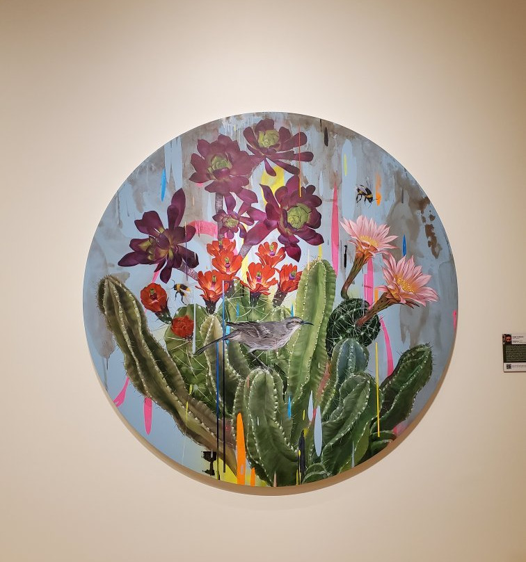 Mesa Arts Center-梅萨必去景点