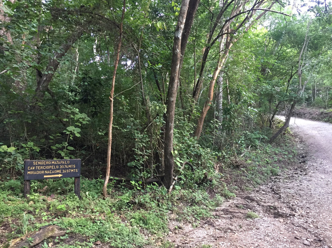 Barra Honda National Park景点图片