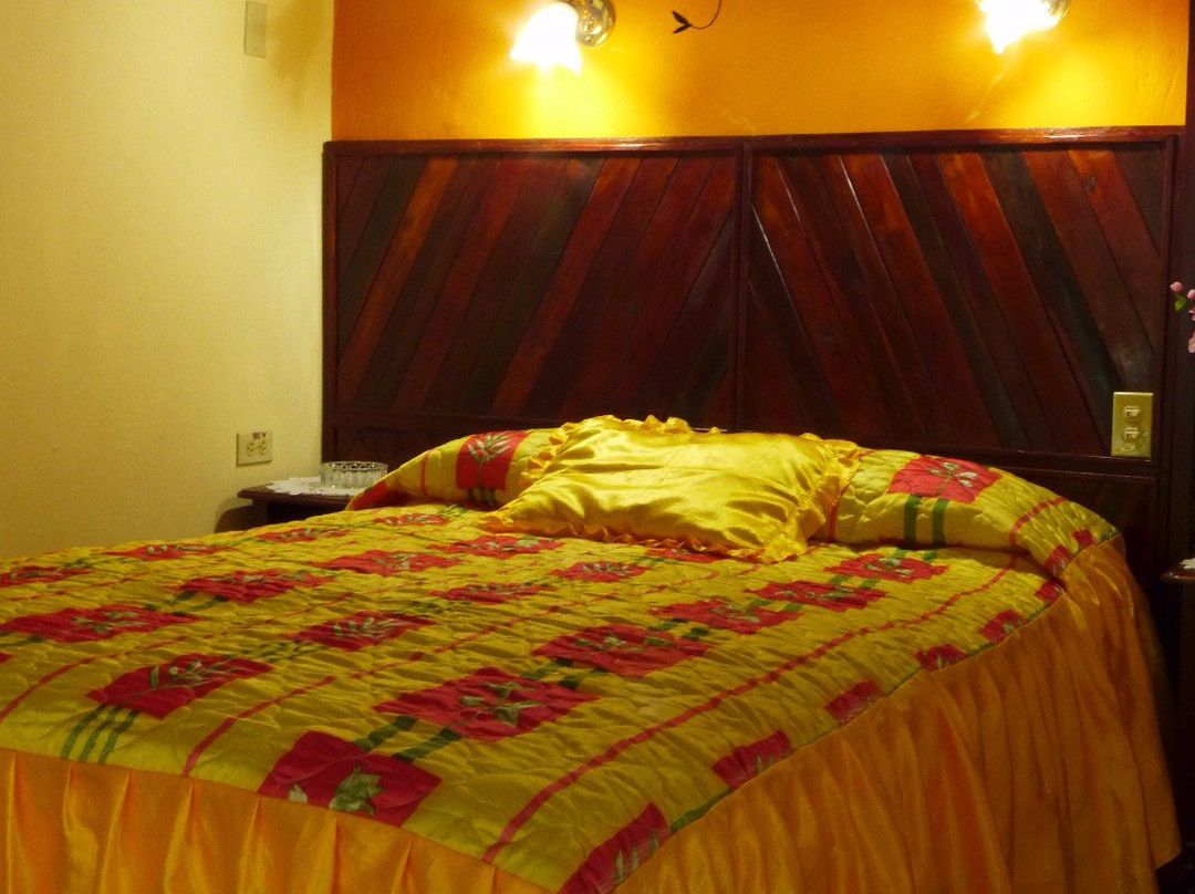 Casa Colonial Andres Abella主图